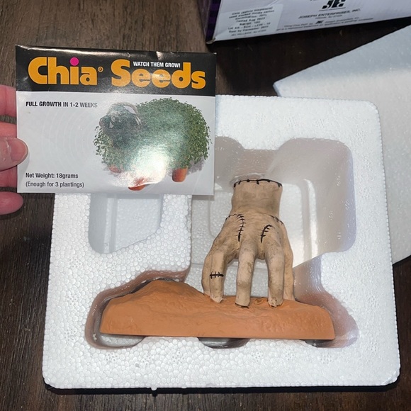 Wednesday “Thing” chia pet - Picture 1 of 3